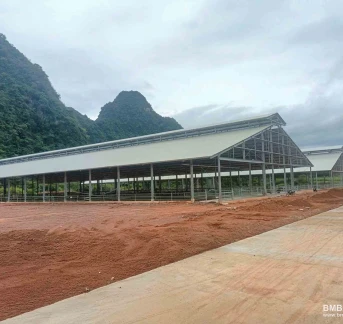 High-Tech Dairy Farming And Milk Processing Project In Cao Bang