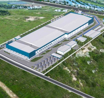 Instant Noodle Plant